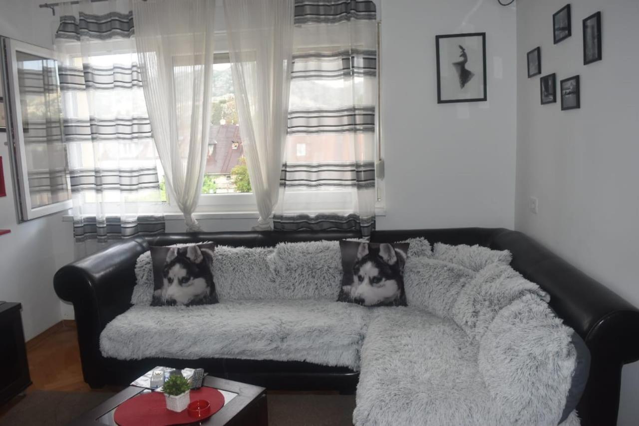 Apartment Tea Cetinje Eksteriør billede